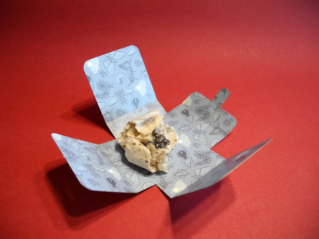 Silver Necklace "Pandora's Hope" with delicate moth pendant