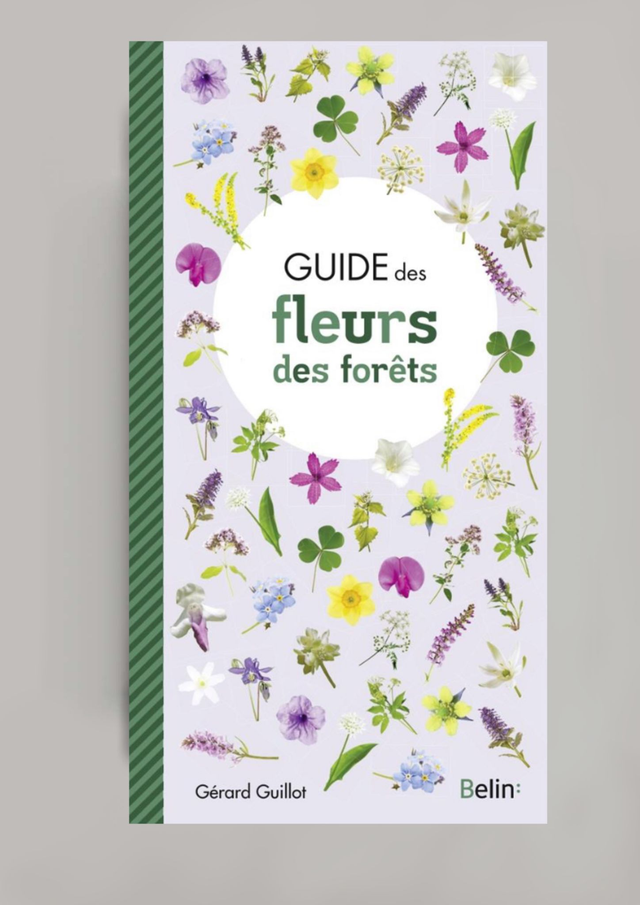 Guide des fleurs des forêts (BELIN:)
