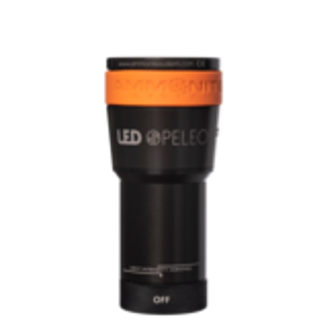 Ammonite tête SPELEO