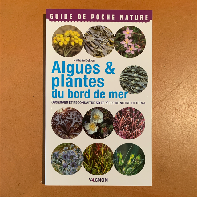 Algues et plantes du bord de mer - Vagnon