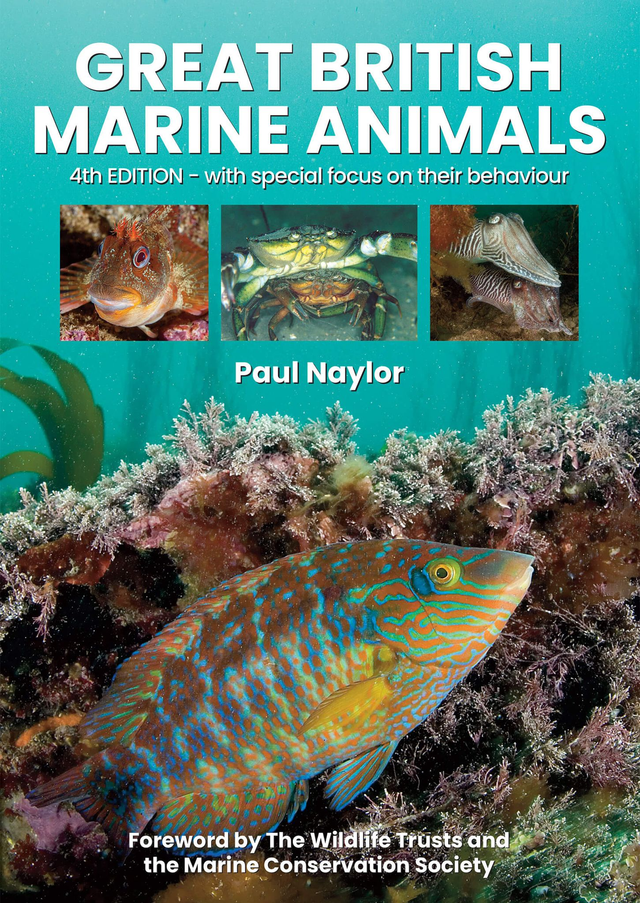 Great British Marine Animals By Dr. Paul Naylor
