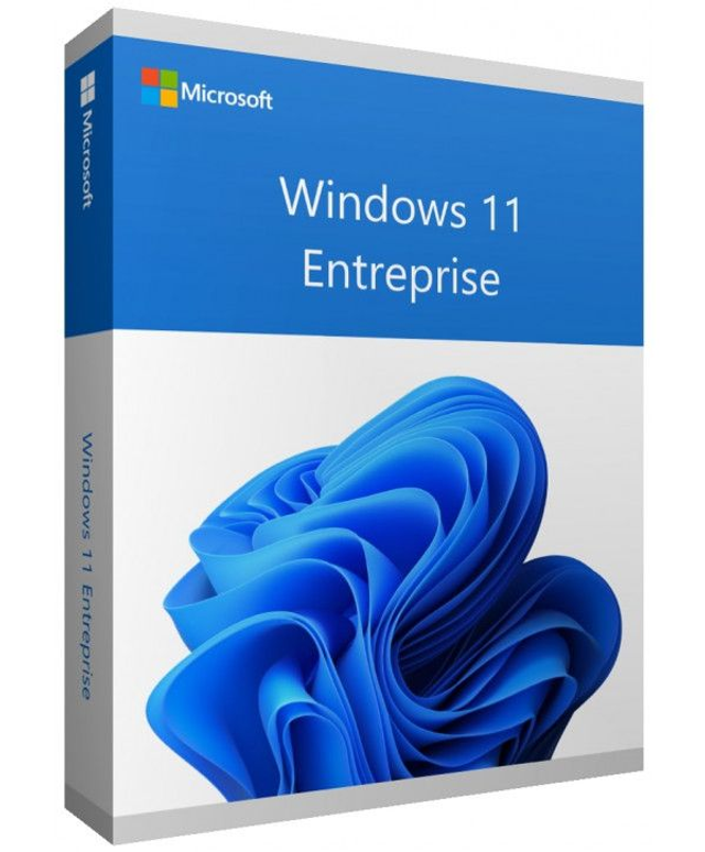 Microsoft Windows 11 Entreprise (Enterprise) - 64 bits
