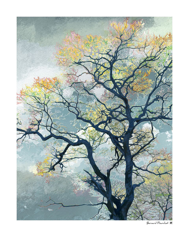 Arb05 - Brumatus Flores