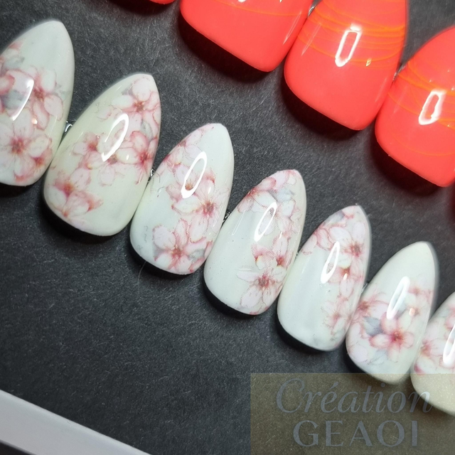 Corail Spider foil little Amande xs