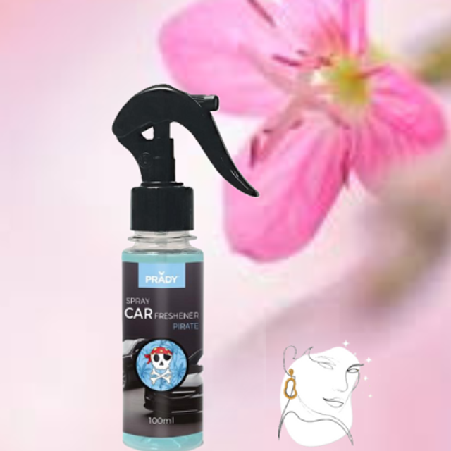 Pirate (inspiration)