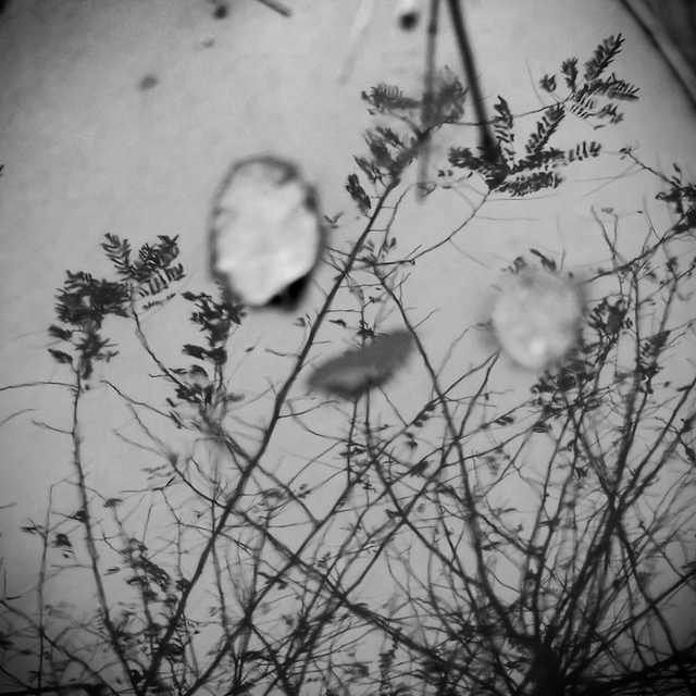 Tirage photo "reflet sous la pluie" - 20x20