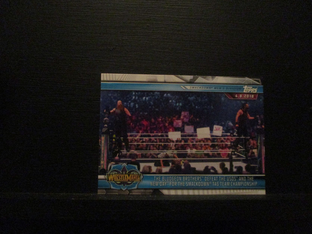 The Bludgeon Brothers Defeats The USOS And The New Day For The Smackdown Tag Team Championship - Champions Original Trading Card #94