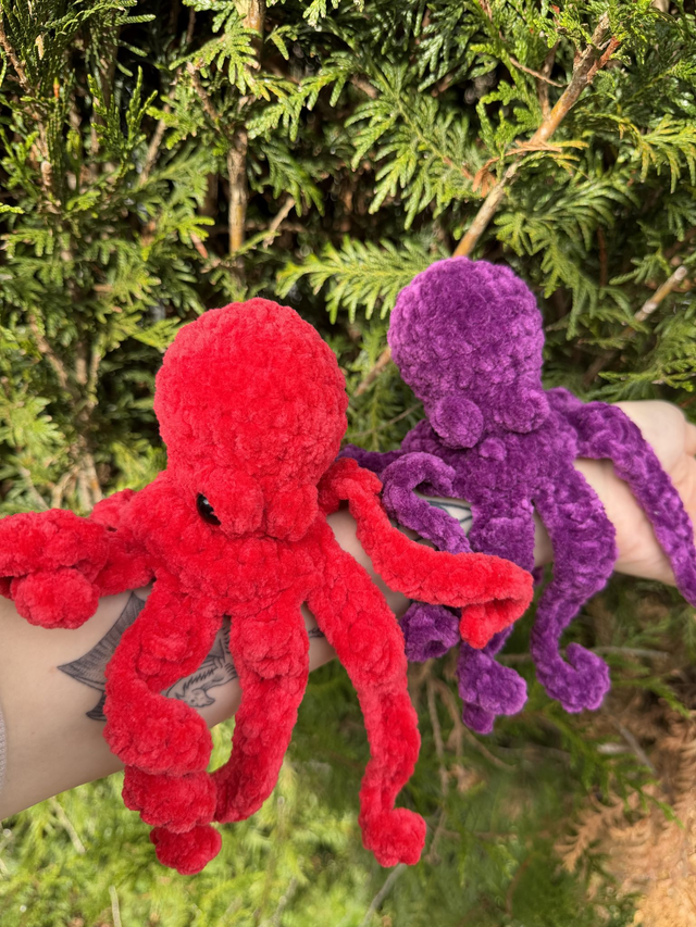Octopus 🐙