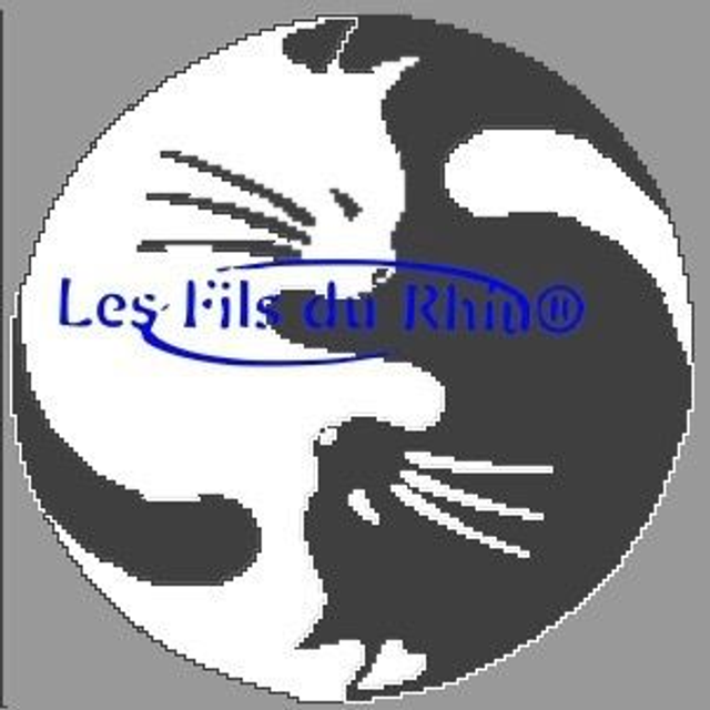 Grille yang yang chat