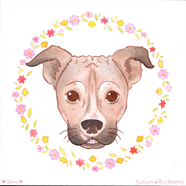 Sanka – Œuvre originale solidaire