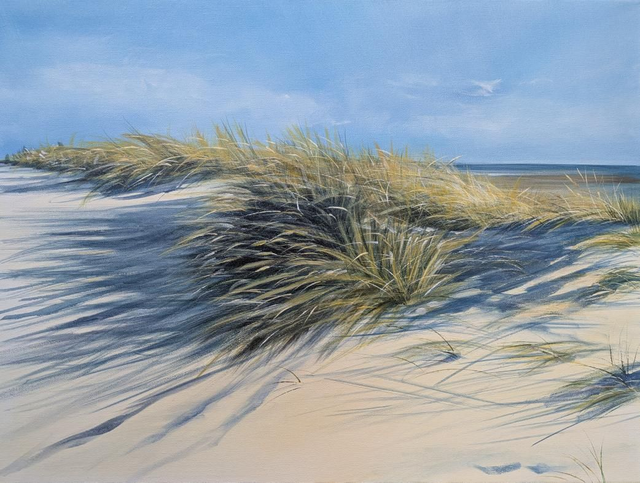 Dune grasses 

