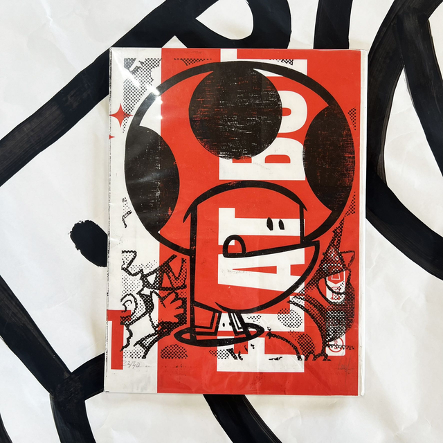 Xylo TOAD Flat butt 18x24 cm sans cadre