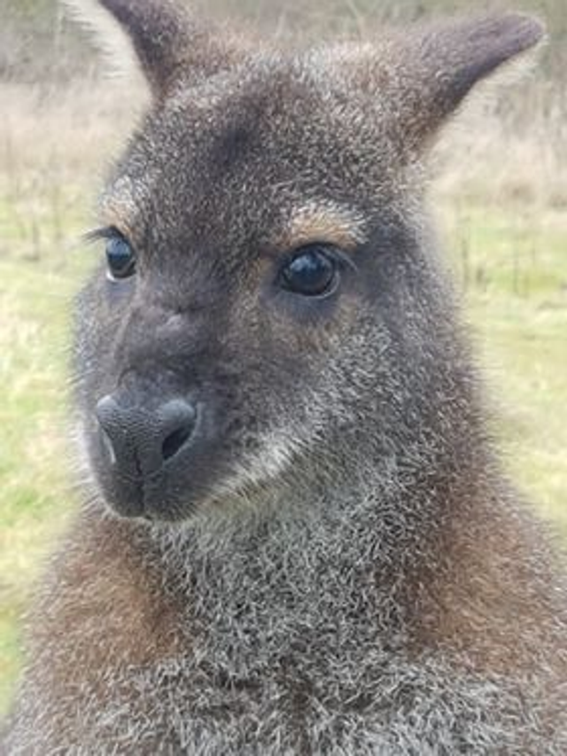 Mini Keeper Experience