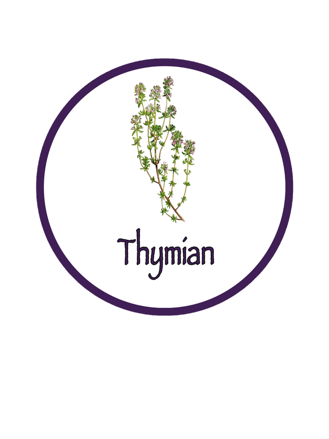 BIO Kräuterpellets Thymian