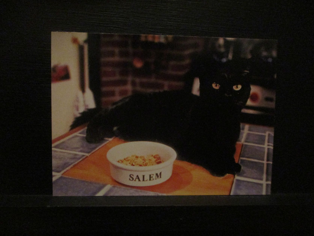 Sabrina The Teenage Witch Mystical (1999) Original Trading Card #6