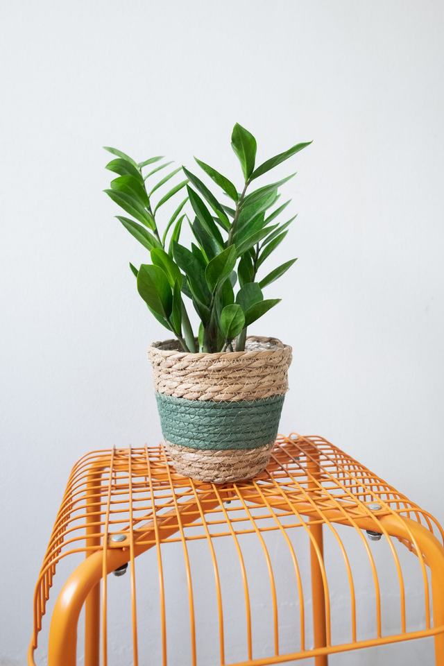 Pot tressé beige &amp; vert 🧩 Mix &amp; Match