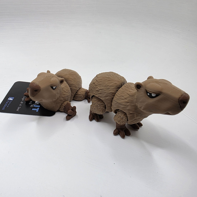 Mini Capybara