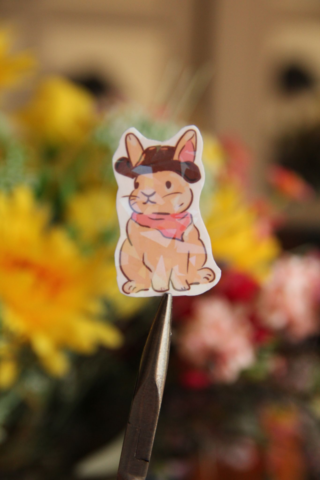 Sticker lapin cow boy 🌸