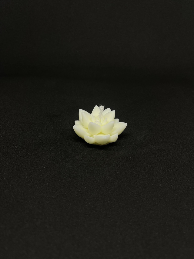 Mini Lotus