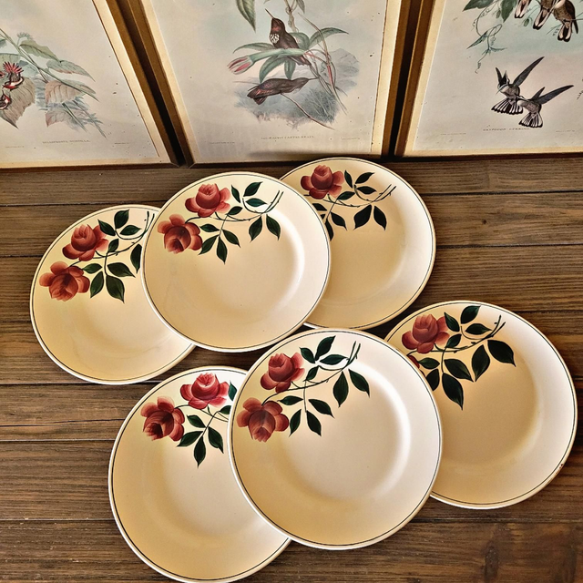 X Assiettes à dessert Choisy Le Roi HBC modèle Vernon motif de roses