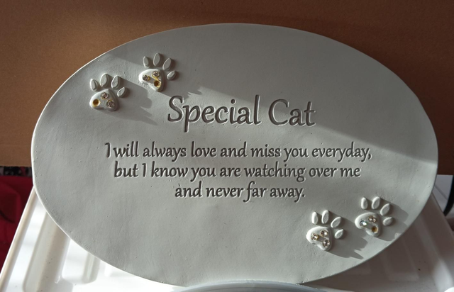 Special Cat Ceramic Plaque.