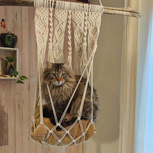 Hamac à Chat