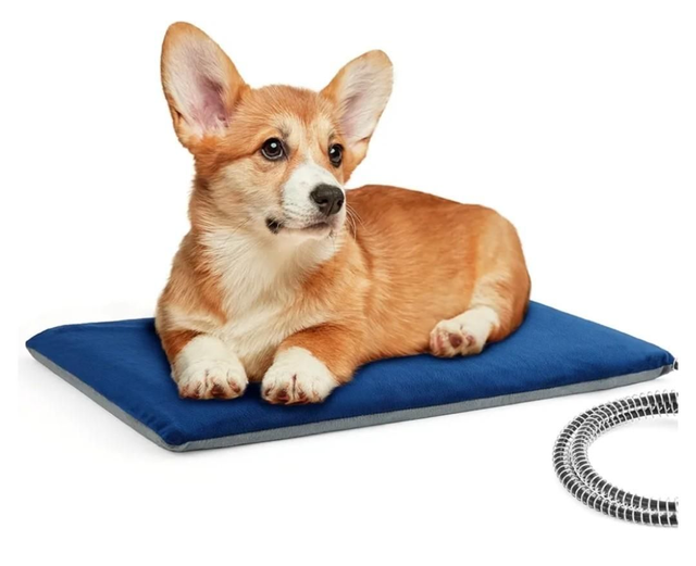 Zzz on hold. Cat Petcute heated mat 70x40