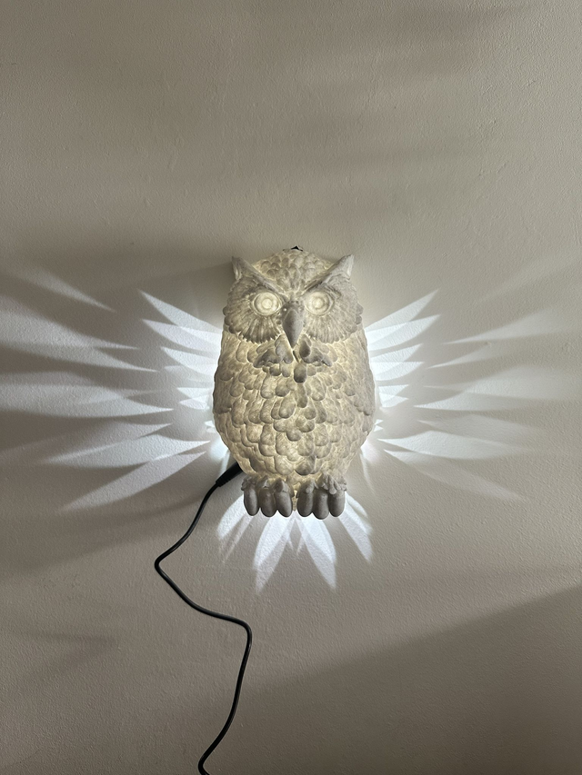 Lamp Uil met geprojecteerde vleugels