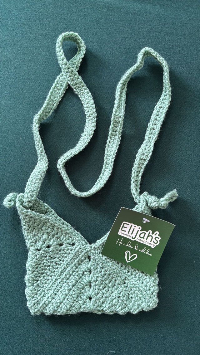 Green Small Shoulder Bag