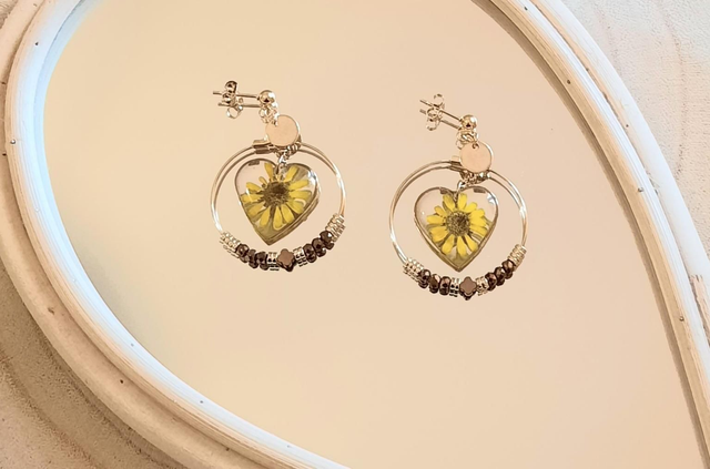 🌼 Melampodium 🌼 