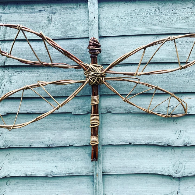  Dragonfly Willow 23/05/26 10:00 - 12:30