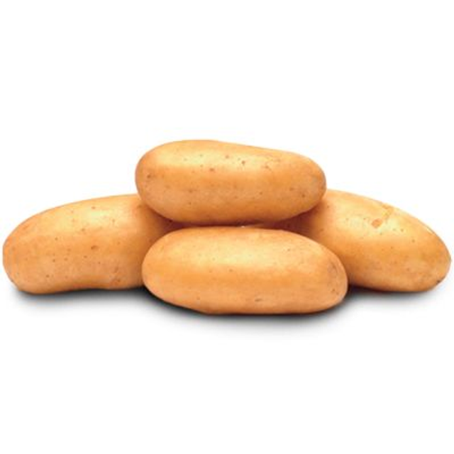 NAWEN – Très précoce et excellente tenue à la cuisson