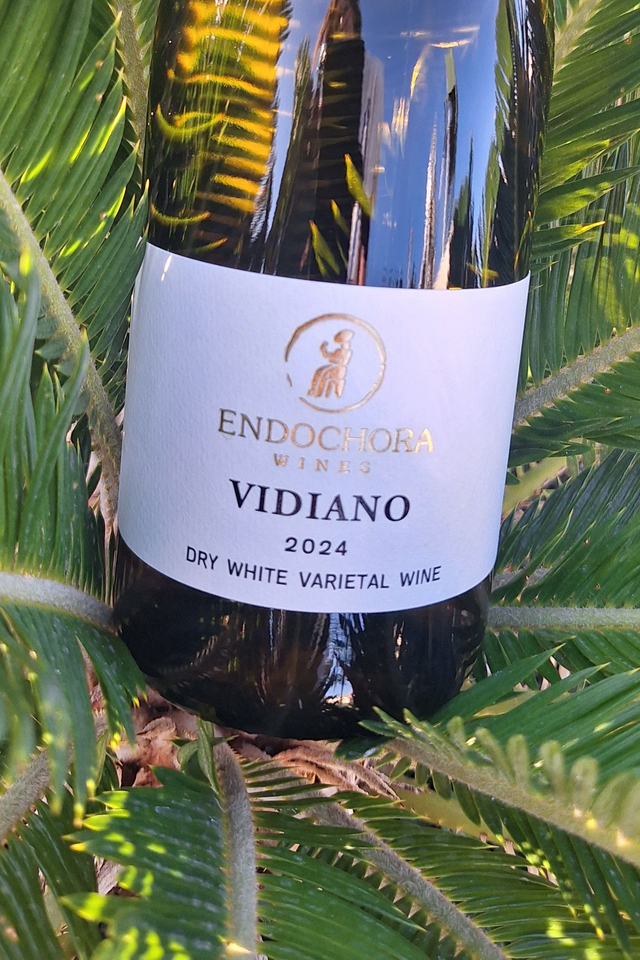 VIDIANO ( 2022) / ENDOCHORA /Blanc 