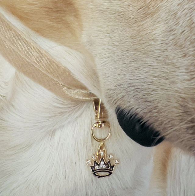 COLLIER DOG CHIC CHIC ( Taille L )