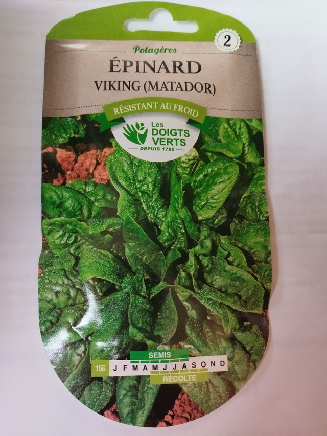 Epinard Viking(Matador)