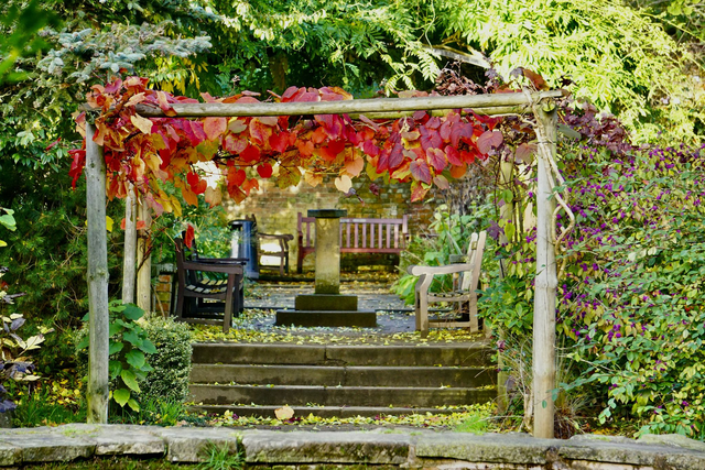 Meet me in the English Garden - Print