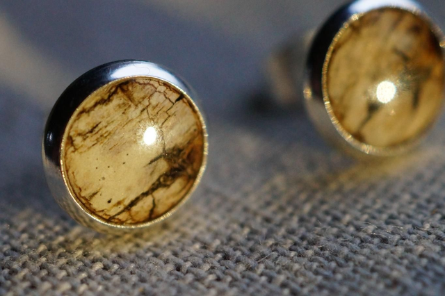 Clous d'oreilles - Bouleau