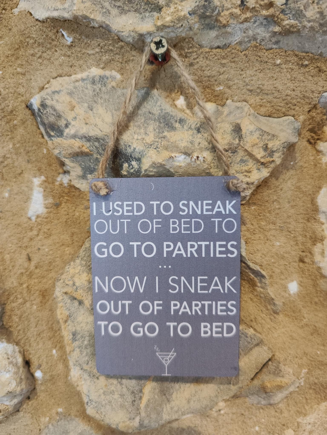 I Used to Sneak to Parties Metal Sign 