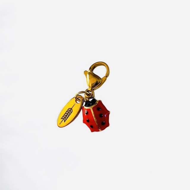 EQUI CHARM LADYBUG