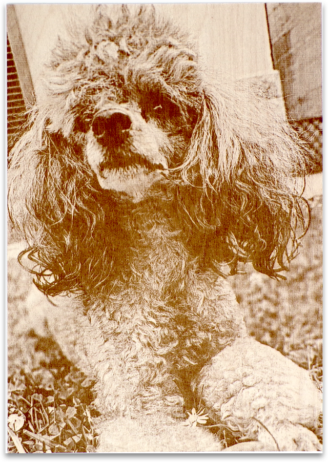 INCISIONE FOTO SU LEGNO - A4