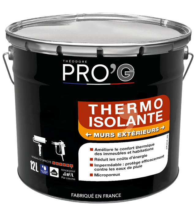 Theodore Pro'G Thermo isolante murs extérieurs 12 L