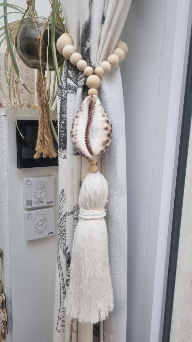 Embrasse coquillage tigris 