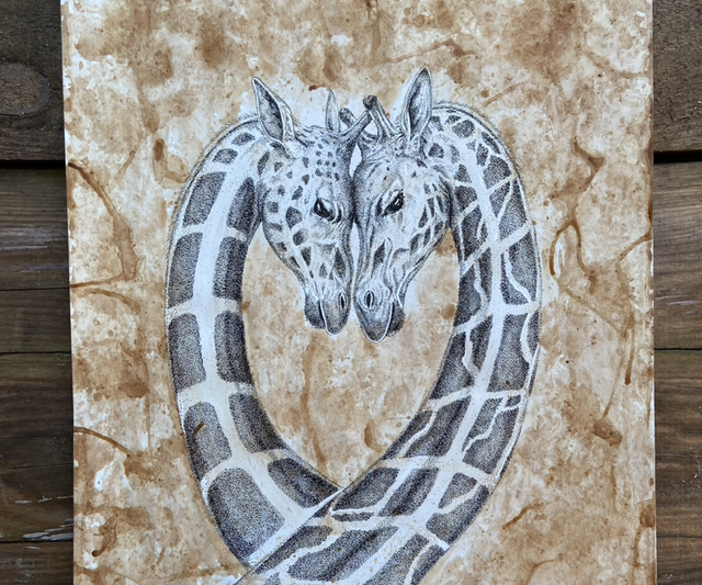 Old giraffes in love 