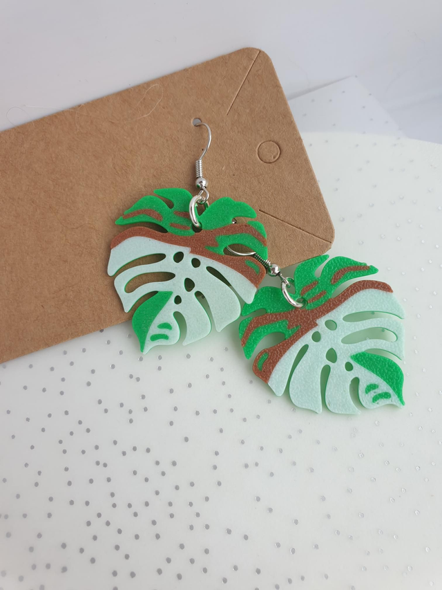 Monstera boucle de l'été 