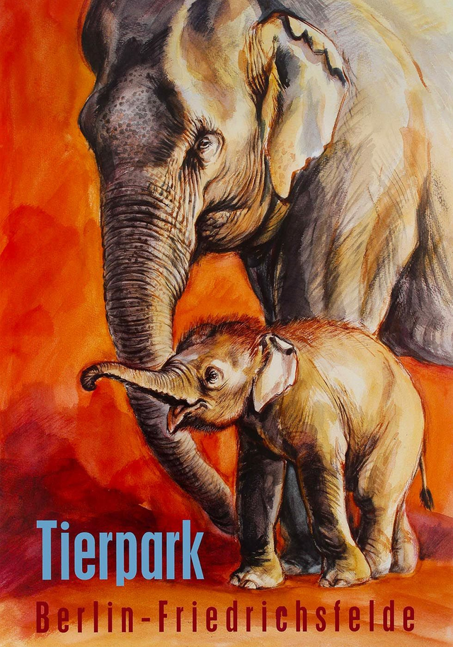 Zoo Tierpark Berlin Elephant