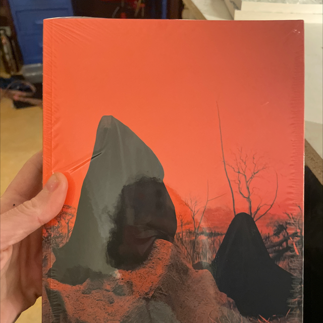 violent images eva leitolf giulia cordin