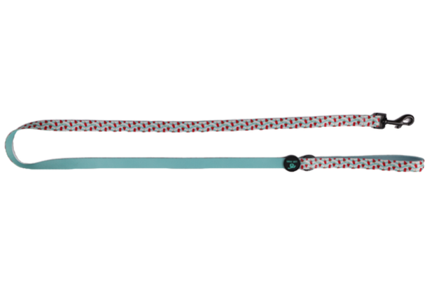 Watermelon Leash (Lupi Paws)