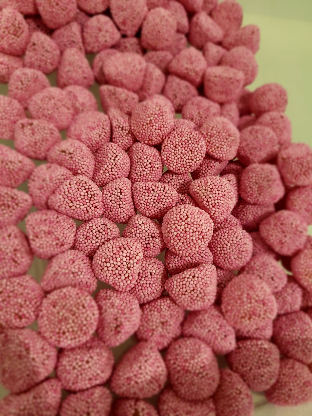 Mûres perlées roses (100g) halal