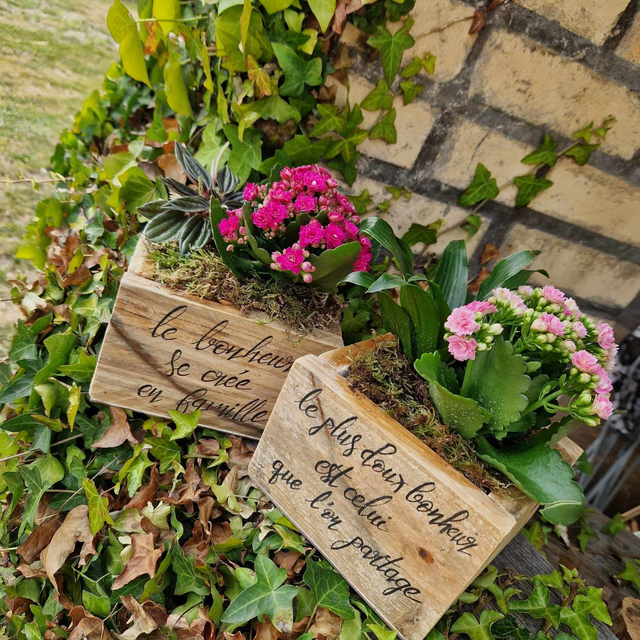 Baquet bois avec plante PM