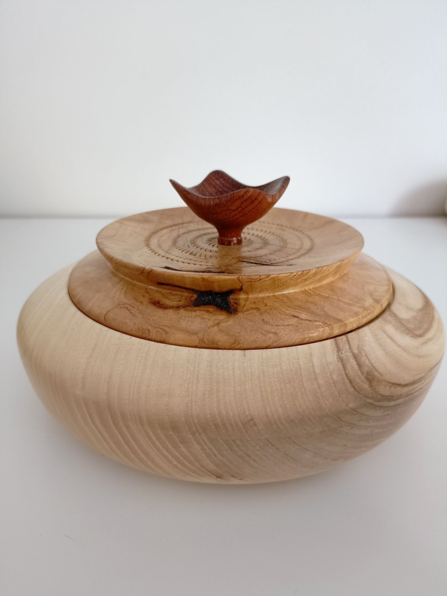 Boîte décorative, modèle Unique en bois de FRENE, LOUPE DE CERISIER et BUBINGA Réf: BT 41 